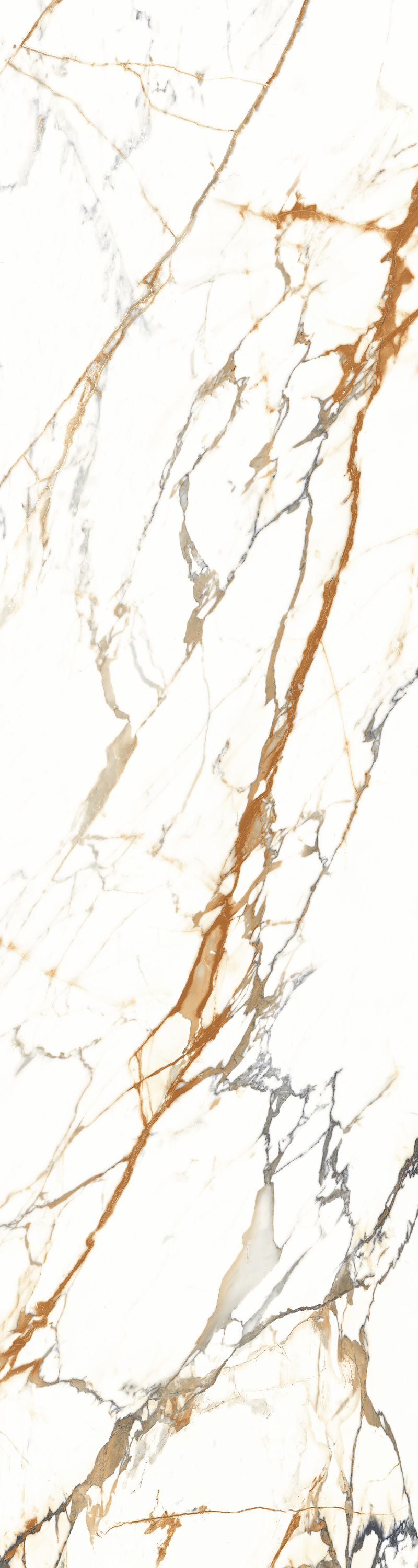 Sugar Crema 800x3000