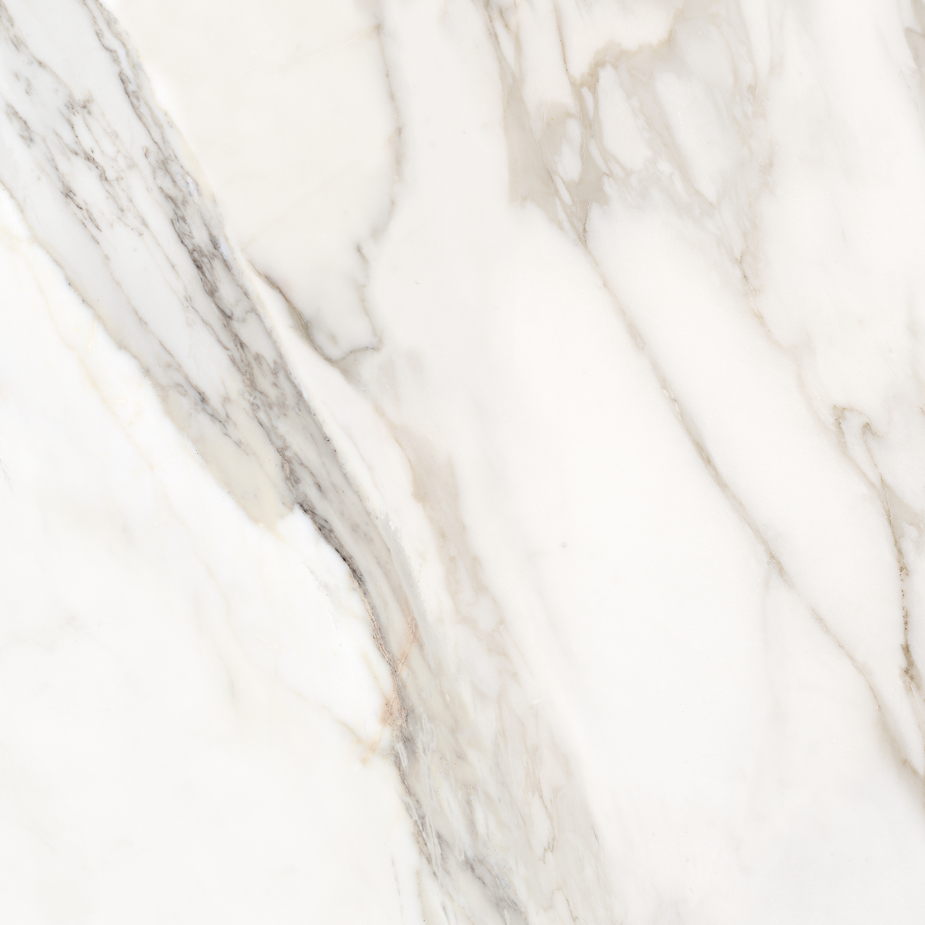 Avorio Lux 600x600