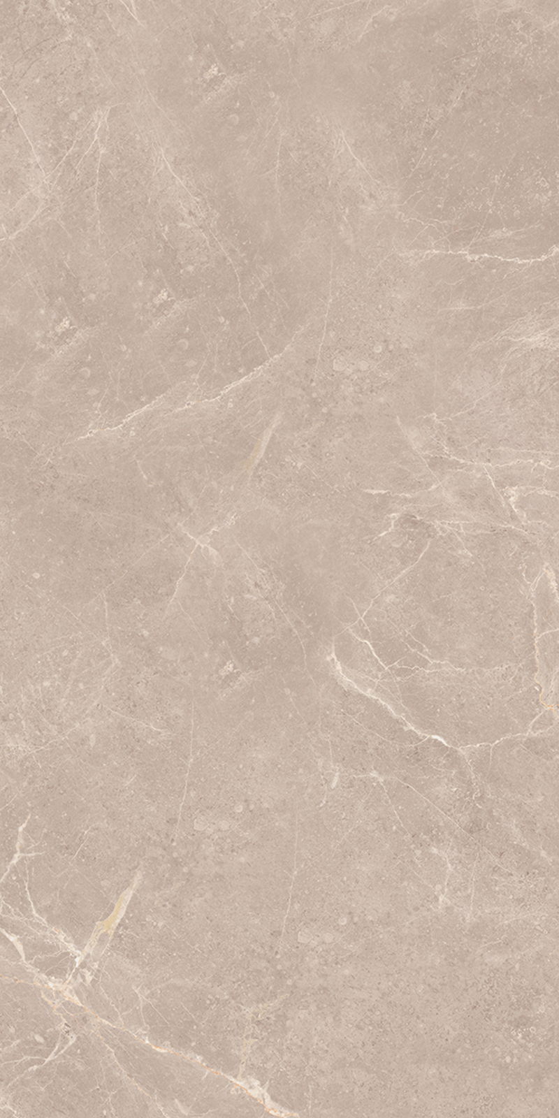 Bella Petra Ivory 800x1600