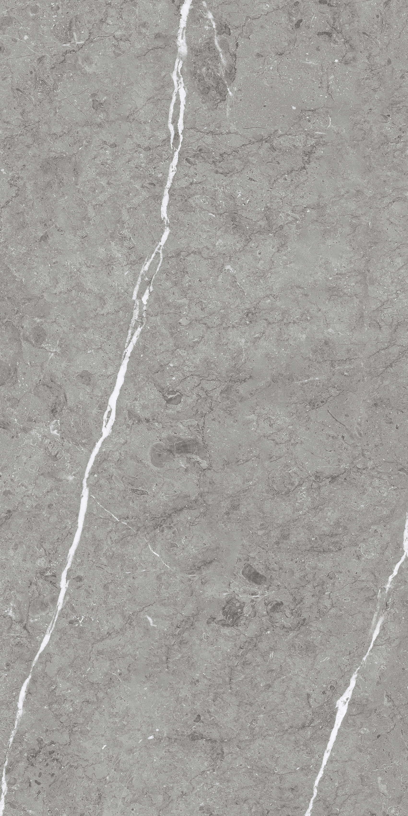 Paradiso Argento. 600x1200