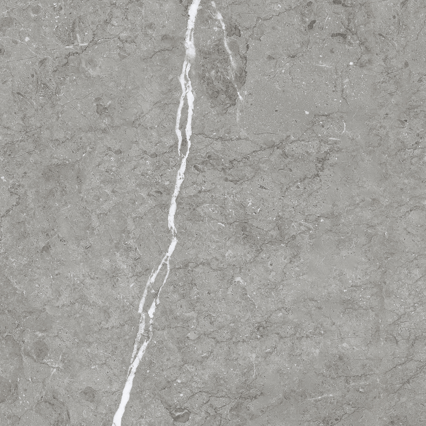 Paradiso Argento. 600x600