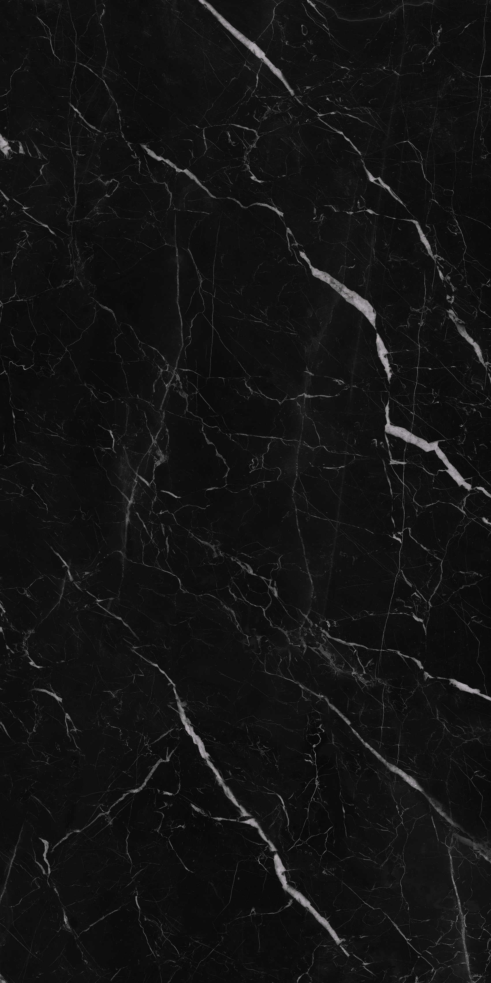 Saint Laurent. 600x1200