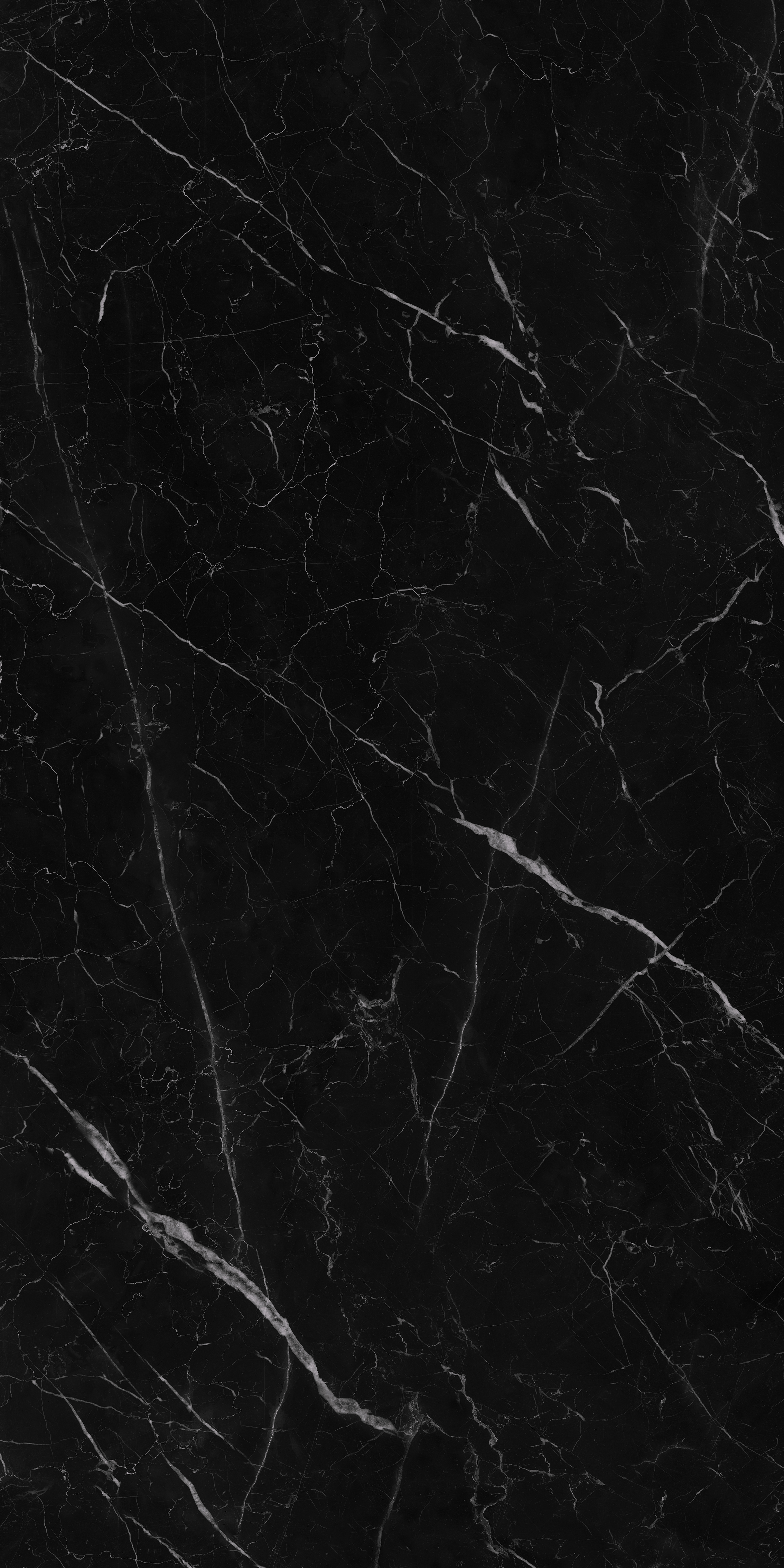 Saint Laurent. 800x1600