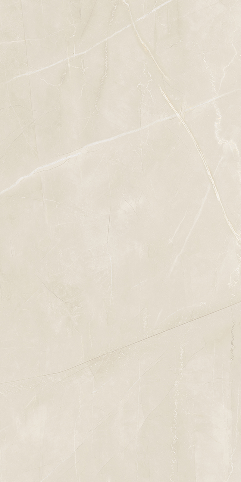 Sasso Bianco 800x1600