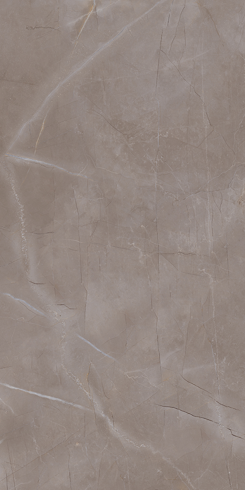 Sasso Brown 800x1600