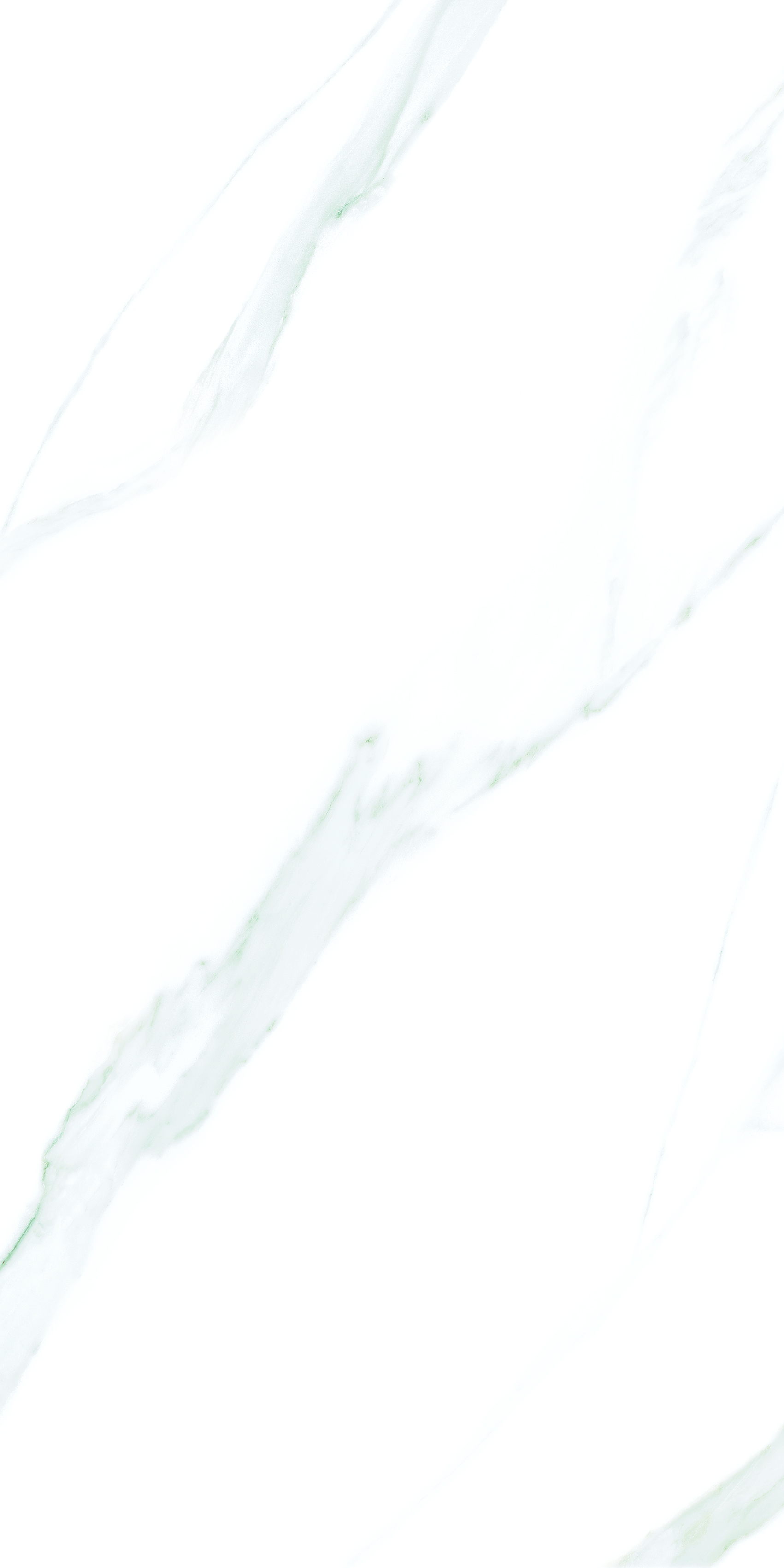 Statuario Nuovo 600x1200