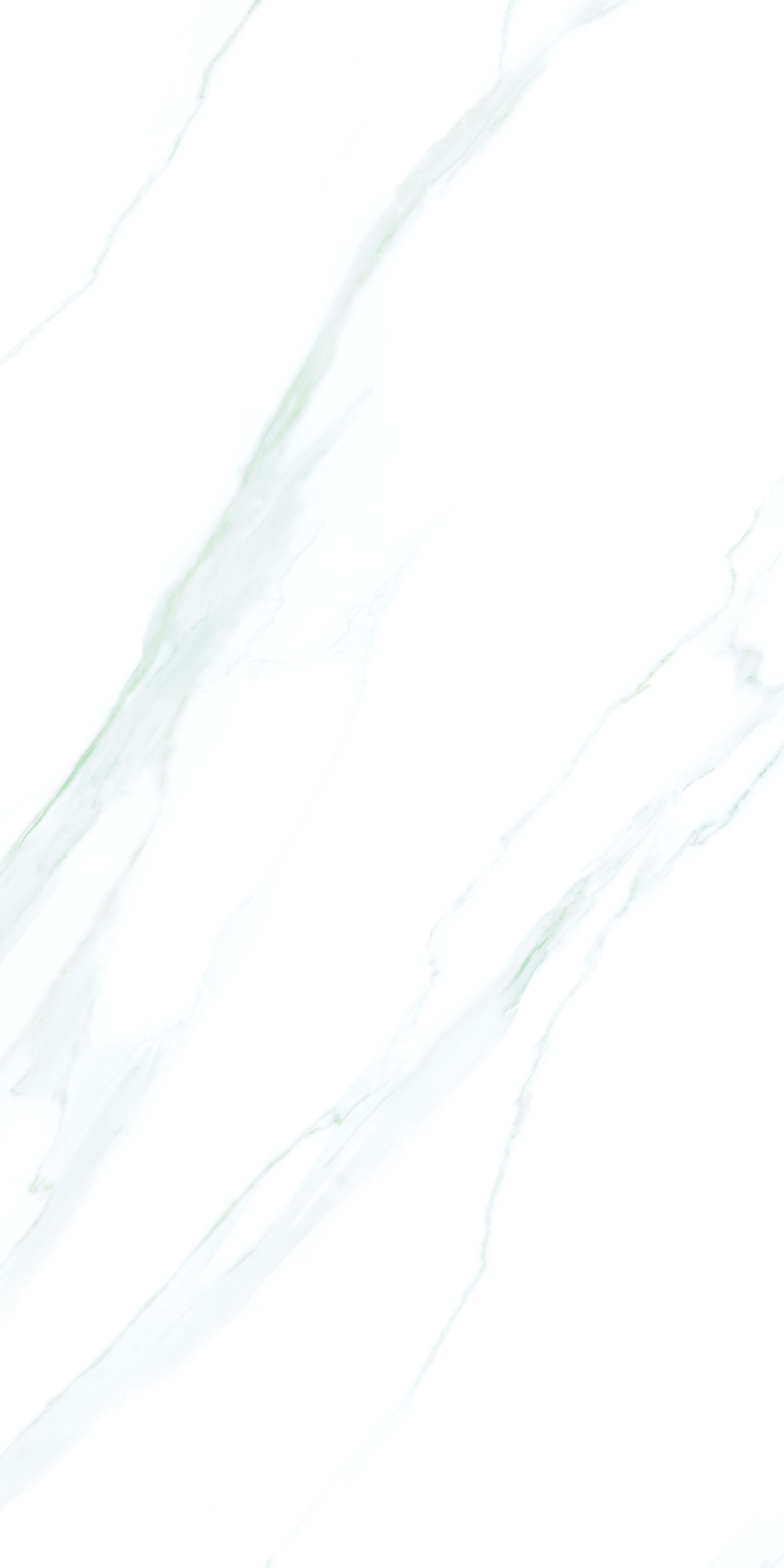 Statuario Nuovo 800x1600