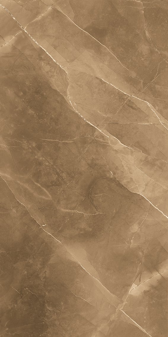 Armani Marble Brown 1200x2400