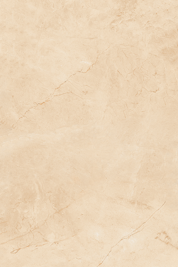 Bejha New Marfil 1200x1800