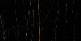 Black Beauty 300x600