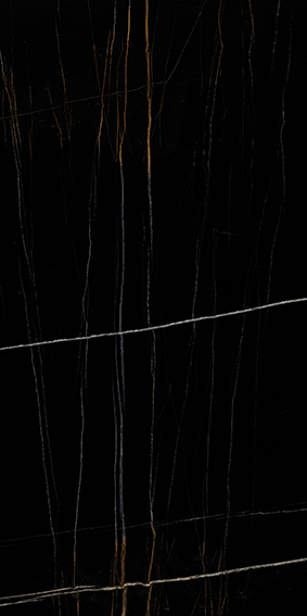 Black Beauty 600x1200