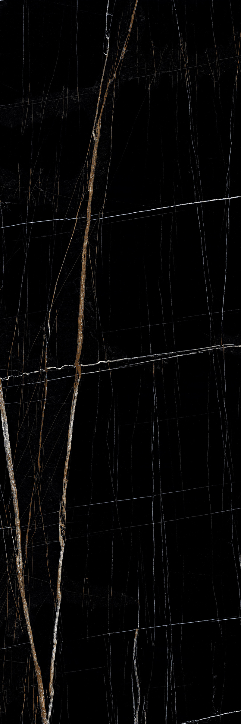 Black Beauty 800x2400