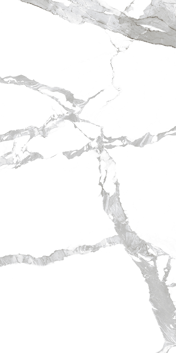 Calacatta Extra 1200x2400