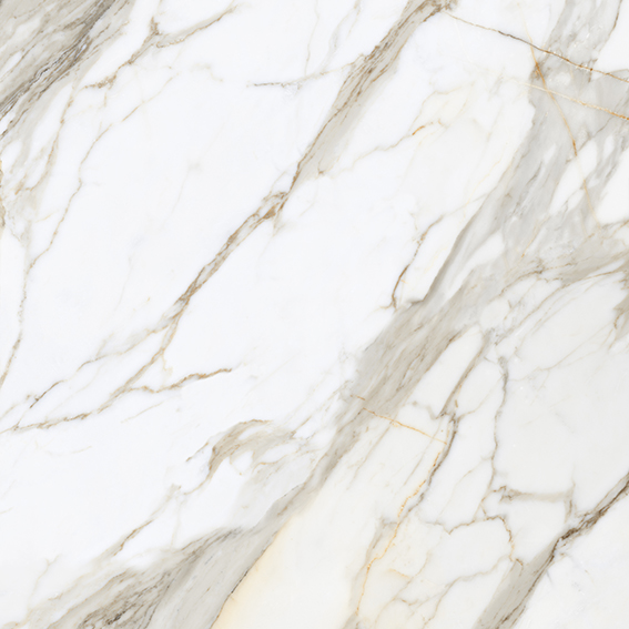 Calacatta Gold 1200x1200