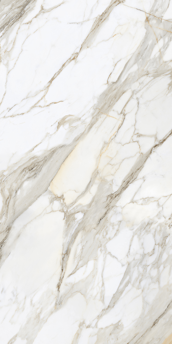 Calacatta Gold 1200x2400