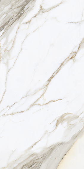 Calacatta Gold 600x1200