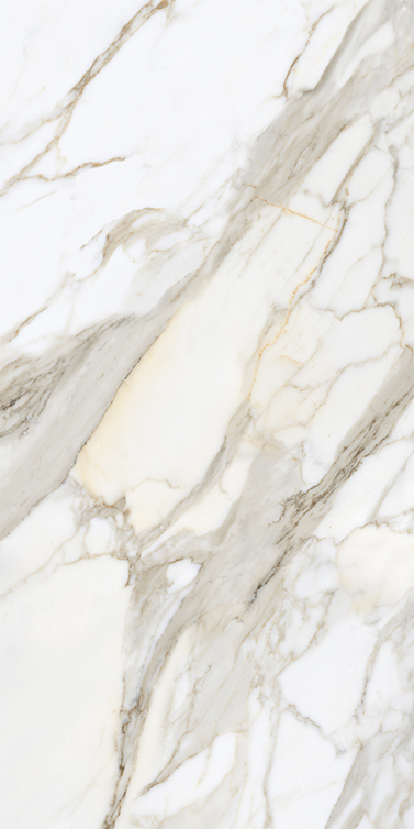 Calacatta Gold 800x1600