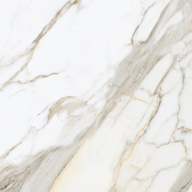 Calacatta Gold 800x800