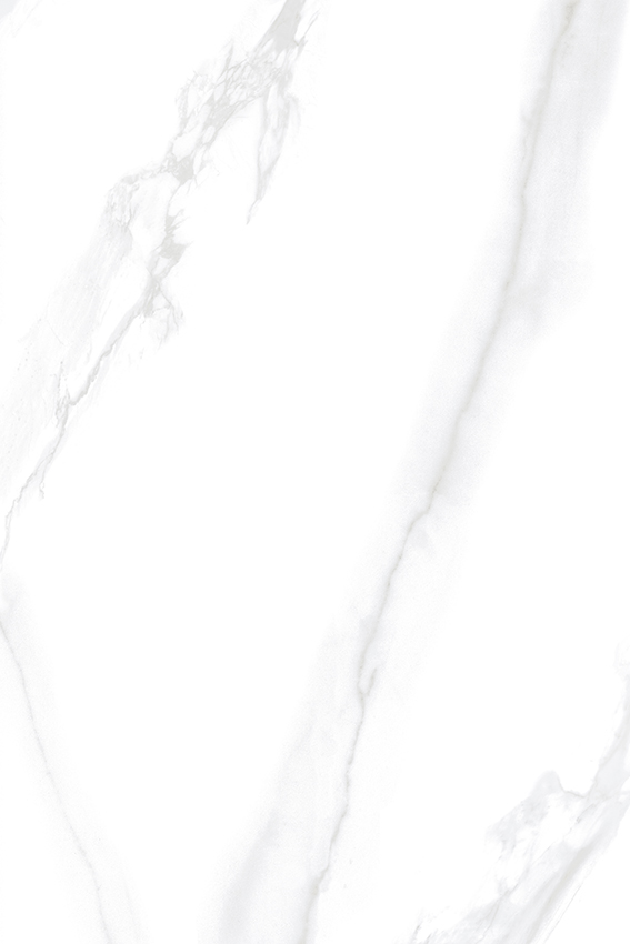 Carara Grey 1200x1800