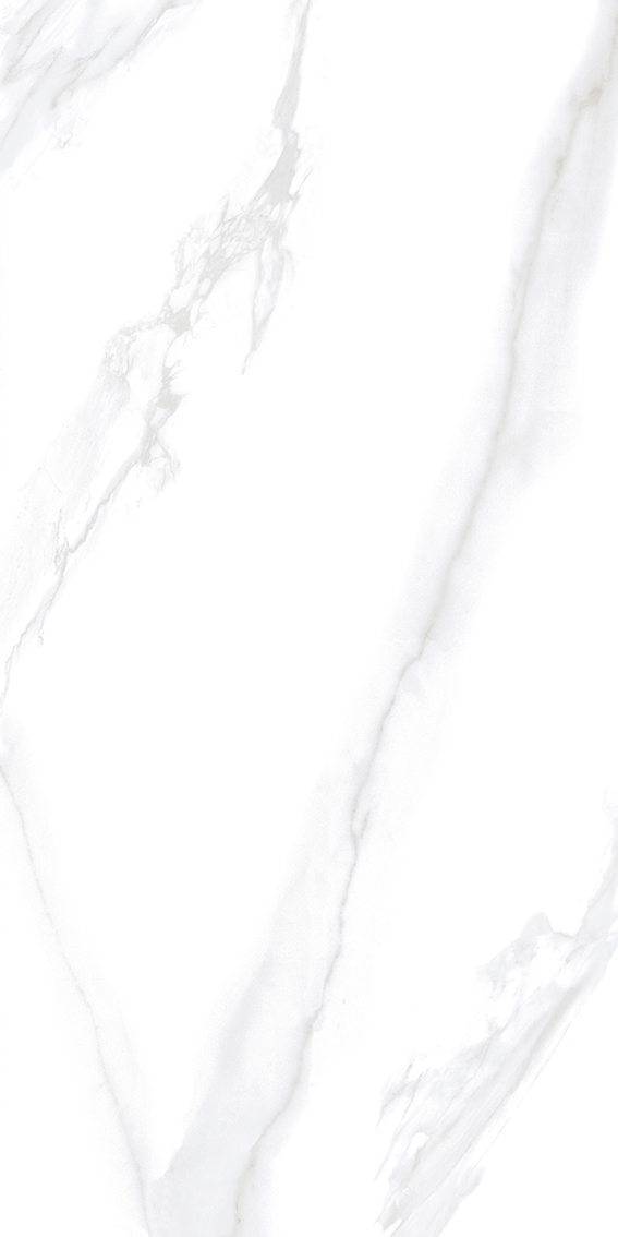 Carara Grey 1200x2400