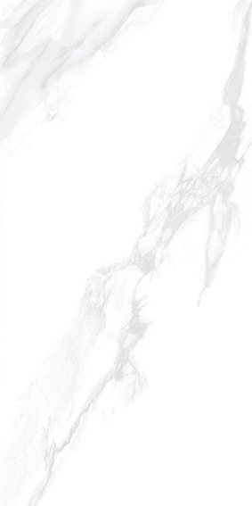 Carara Grey 600x1200