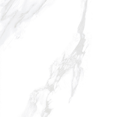 Carara Grey 800x800