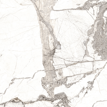 Ice Burg 800x800