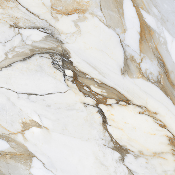 Lhasa Gold 1200x1200