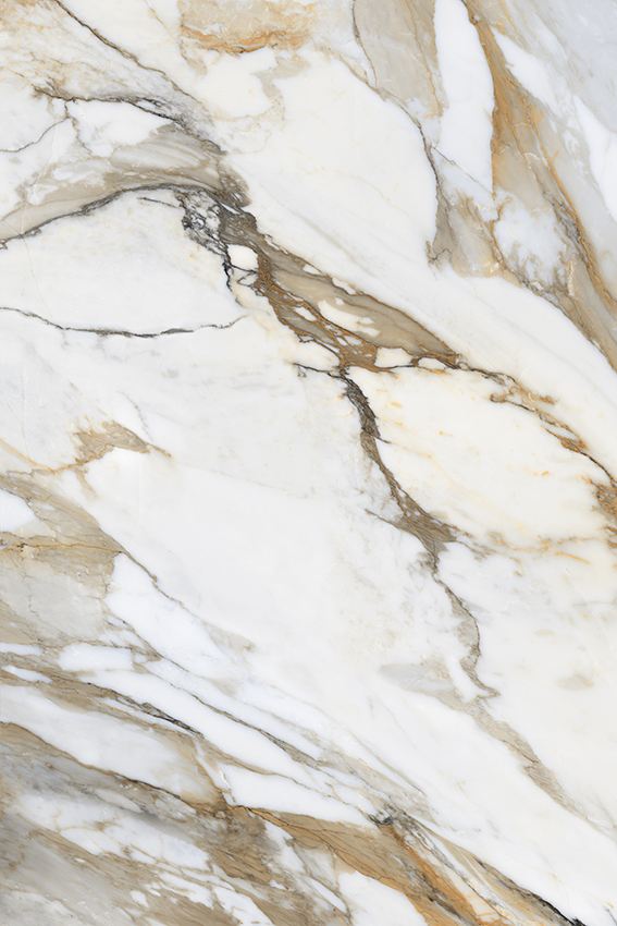 Lhasa Gold 1200x1800