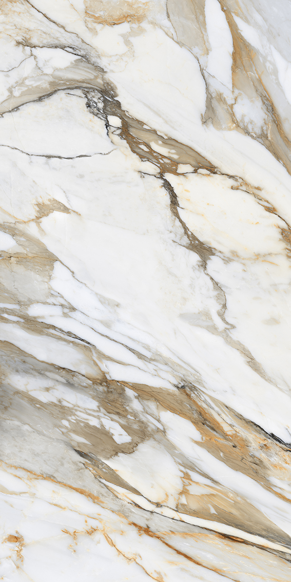 Lhasa Gold 1200x2400