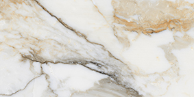 Lhasa Gold 300x600