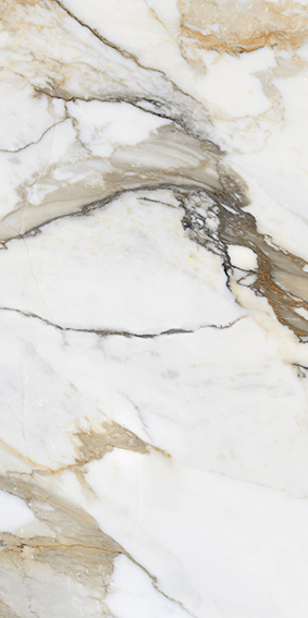 Lhasa Gold 600x1200