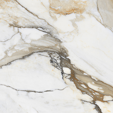 Lhasa Gold 800x800