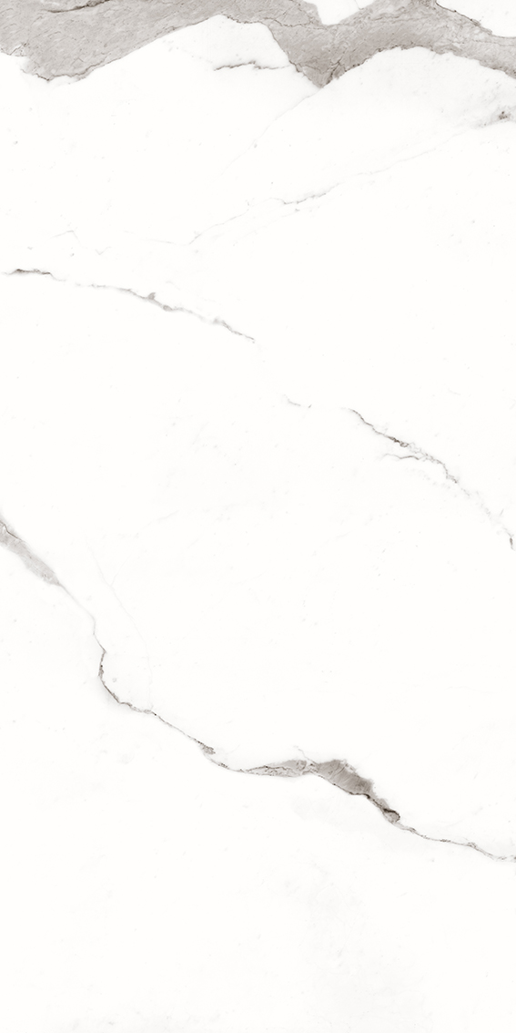 Statuario Continuo 1200x2400