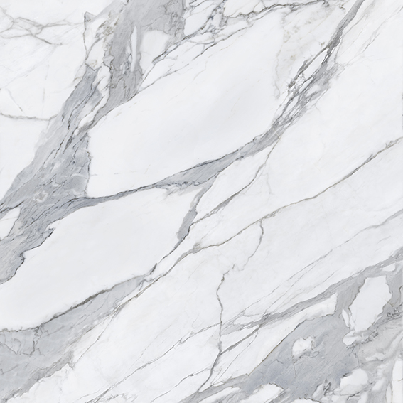 Statuario Jorden 1200x1200