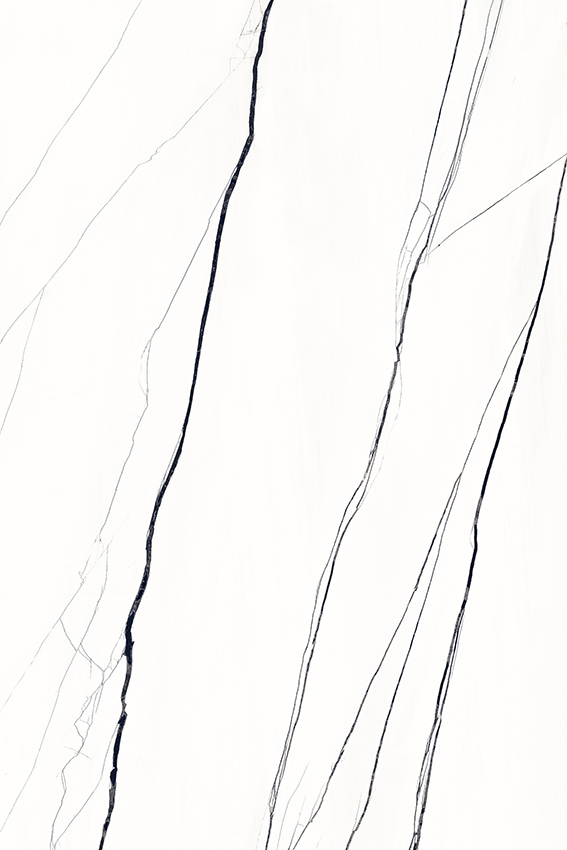 Venato Marble Black 1200x1800