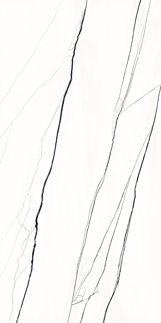 Venato Marble Black 1200x2400