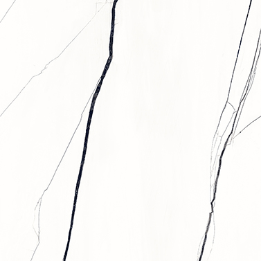 Venato Marble Black 800x800