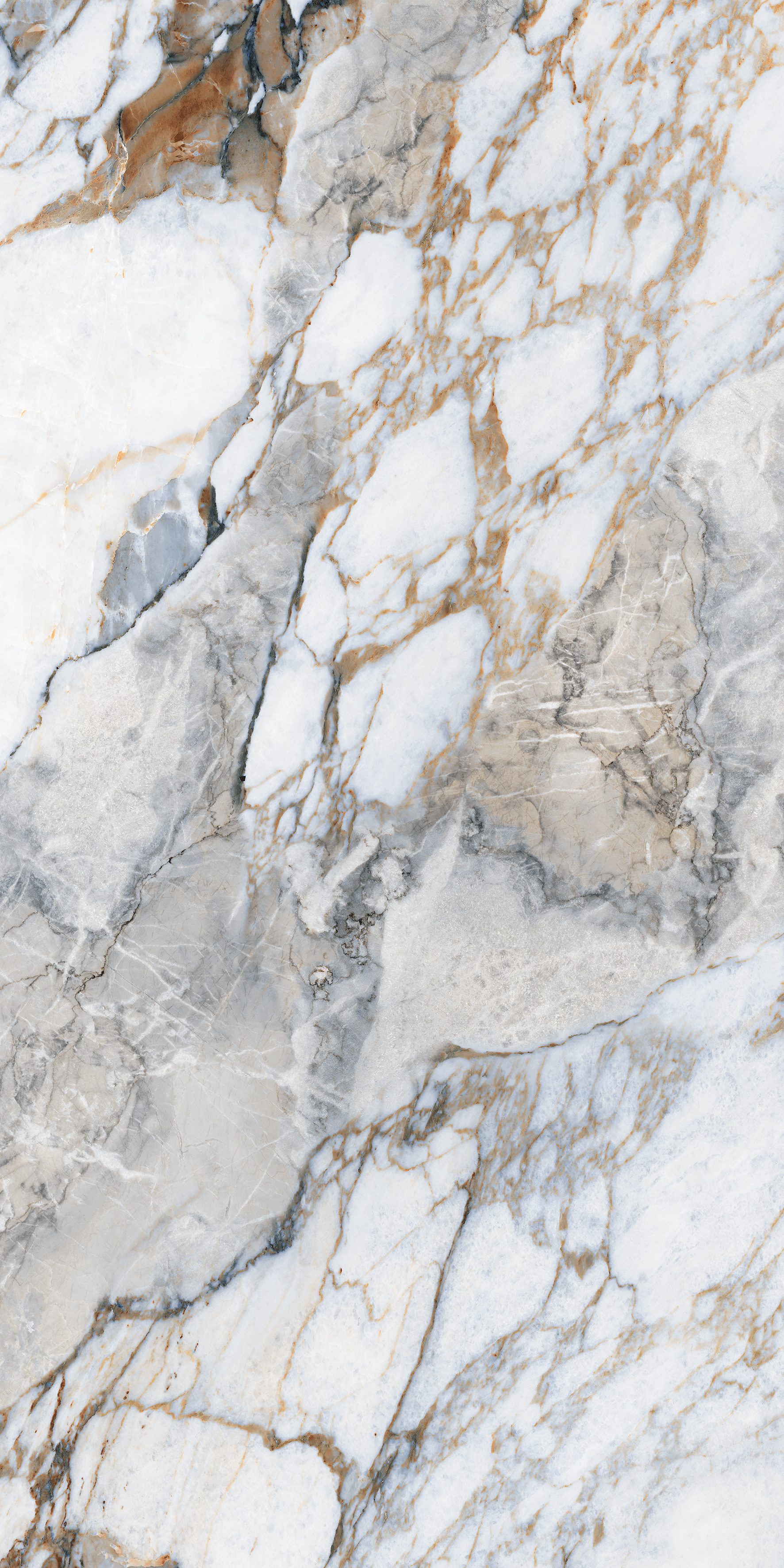 Alps Natural 600x1200