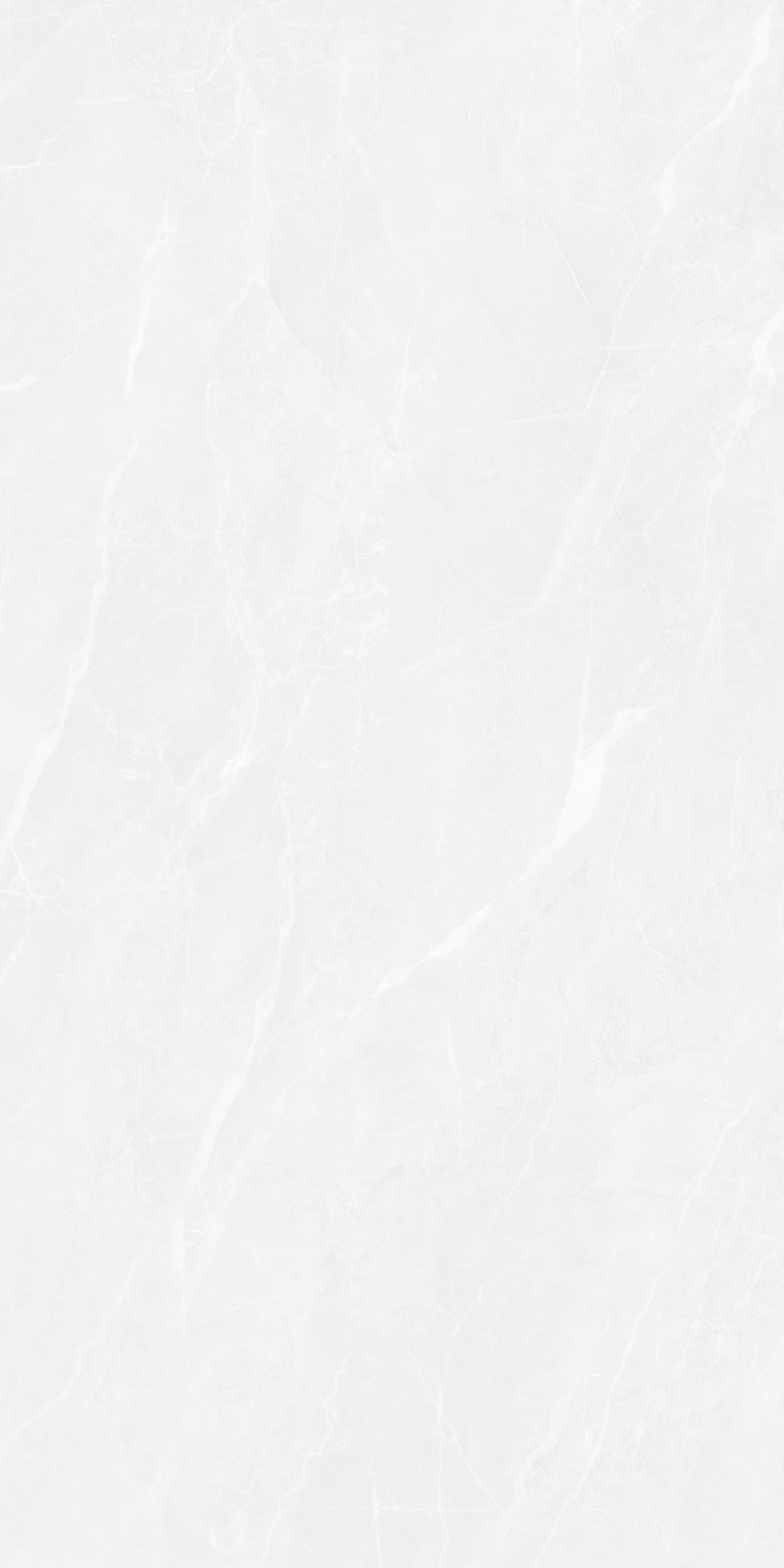 Sofia Bianco 600x1200