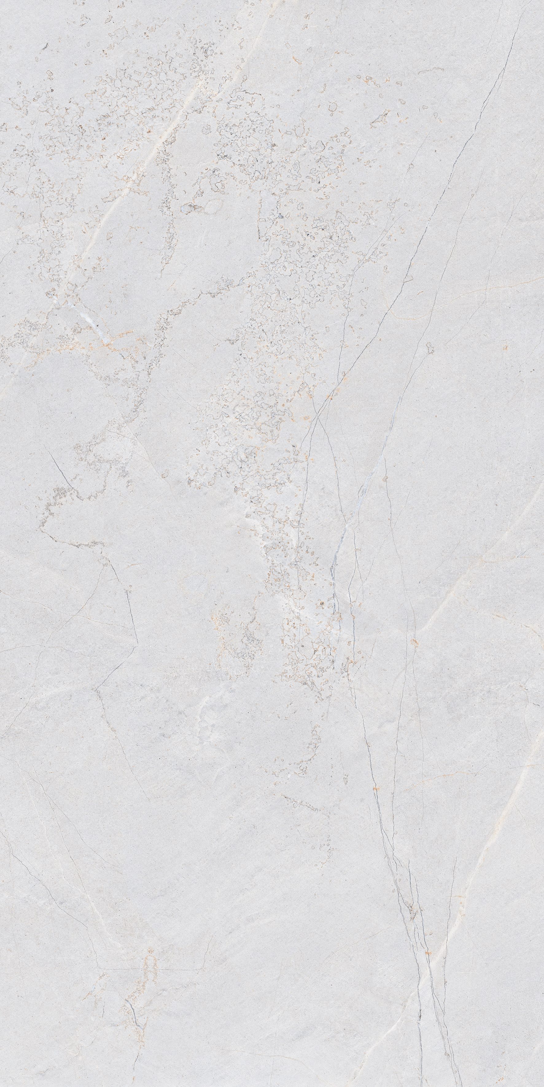 Trance Bianco 600x1200