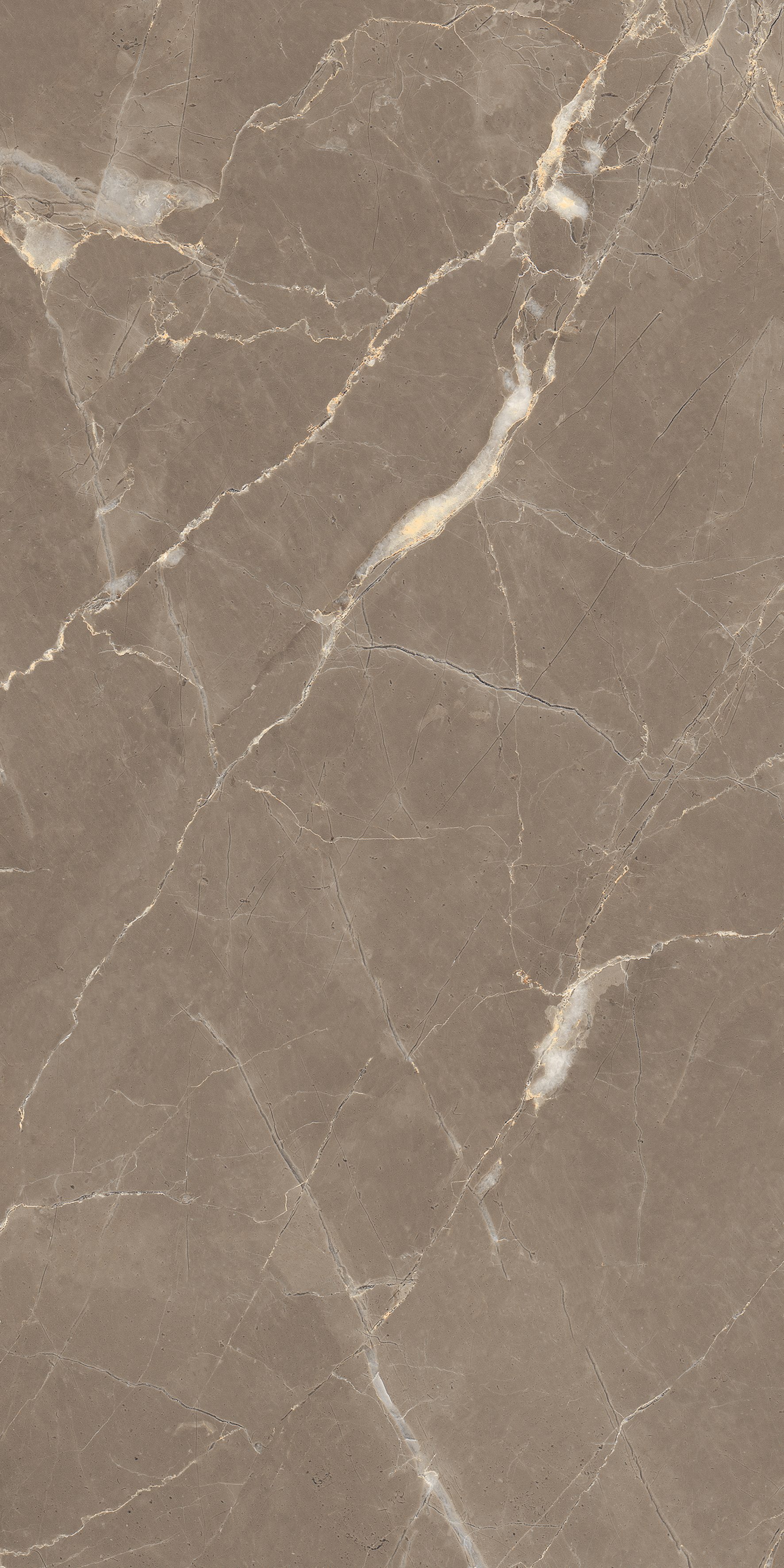 Auro Brown 600x1200