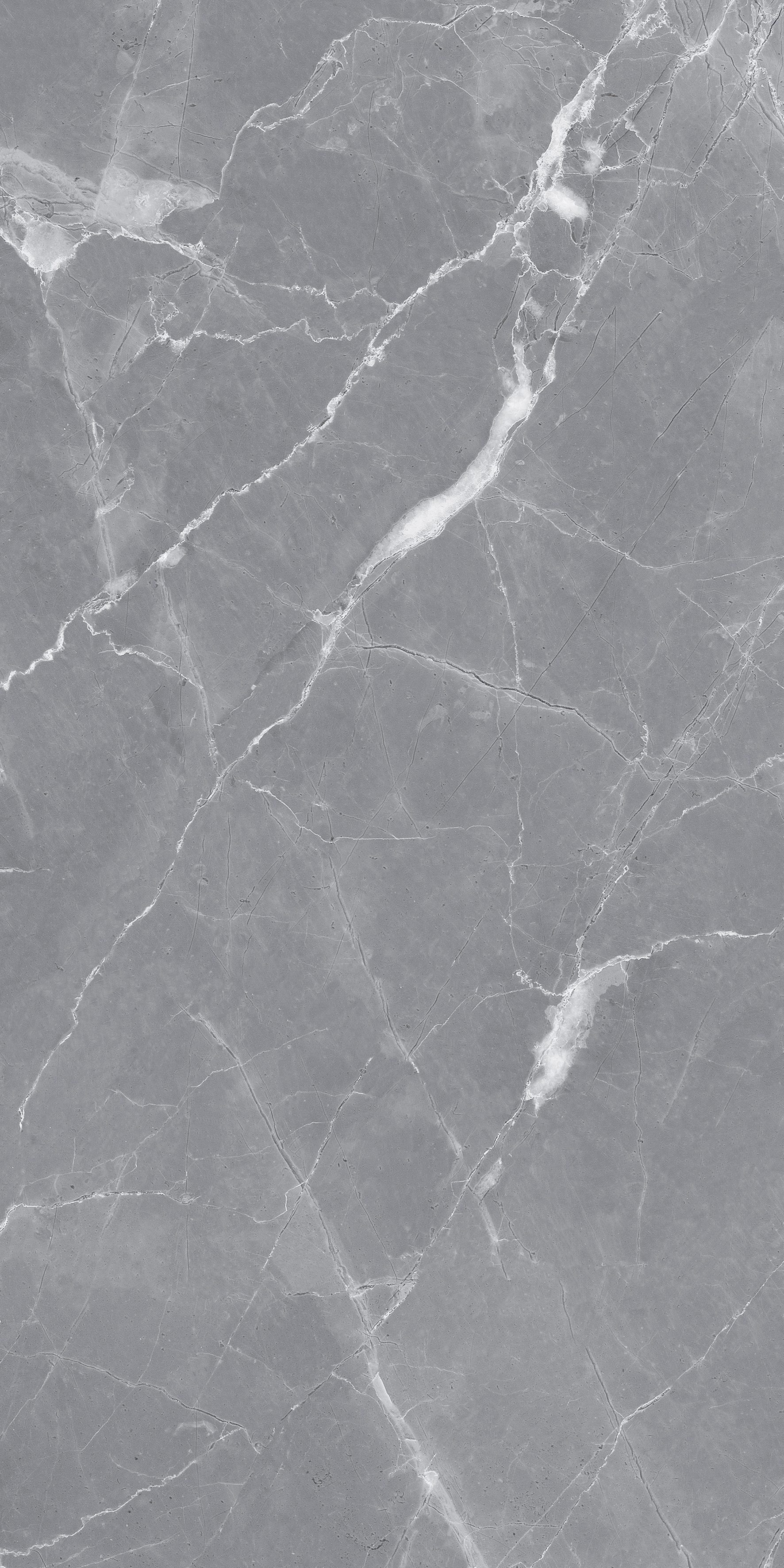 Auro Grey 600x1200
