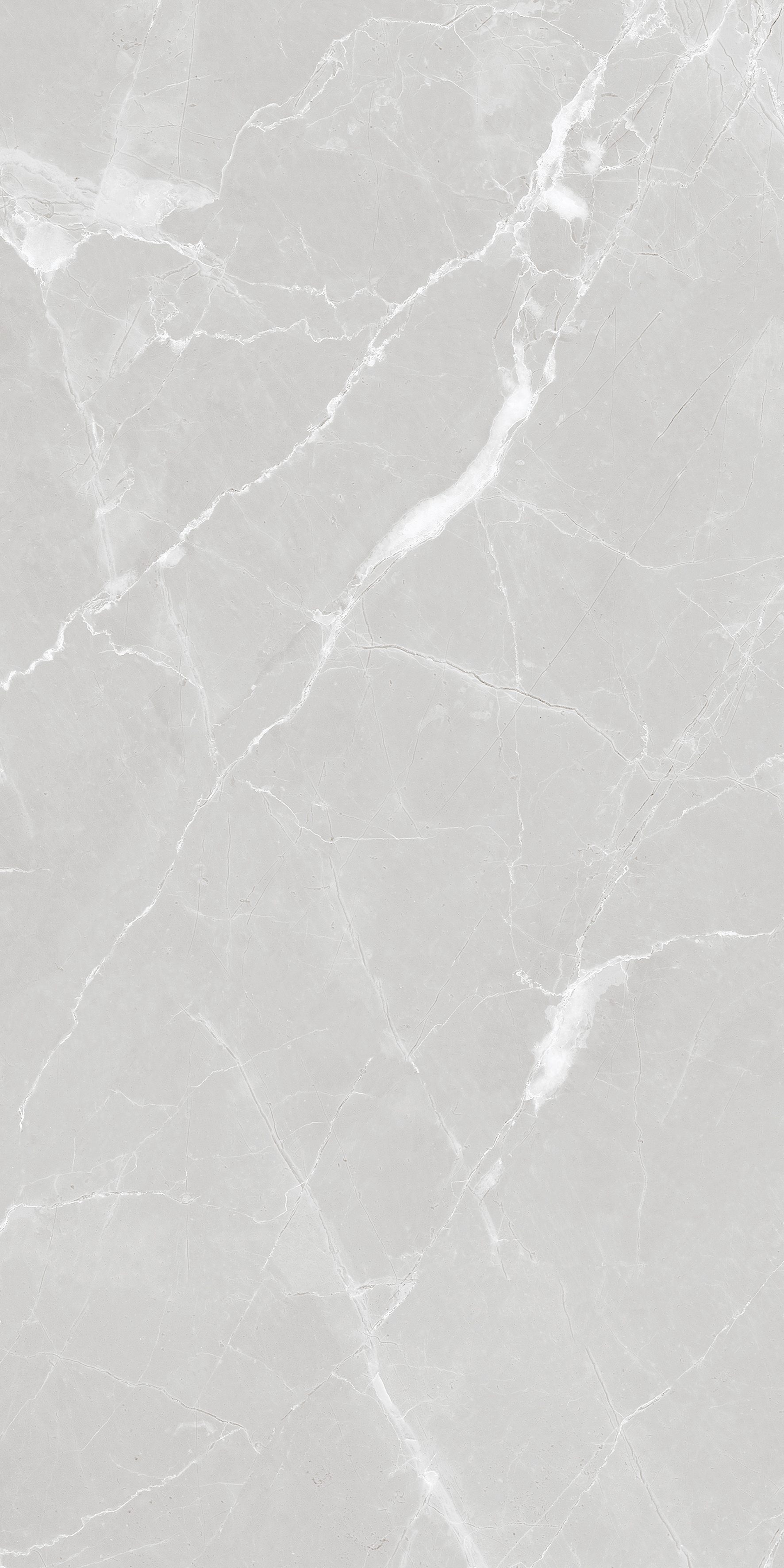 Auro Silver 600x1200