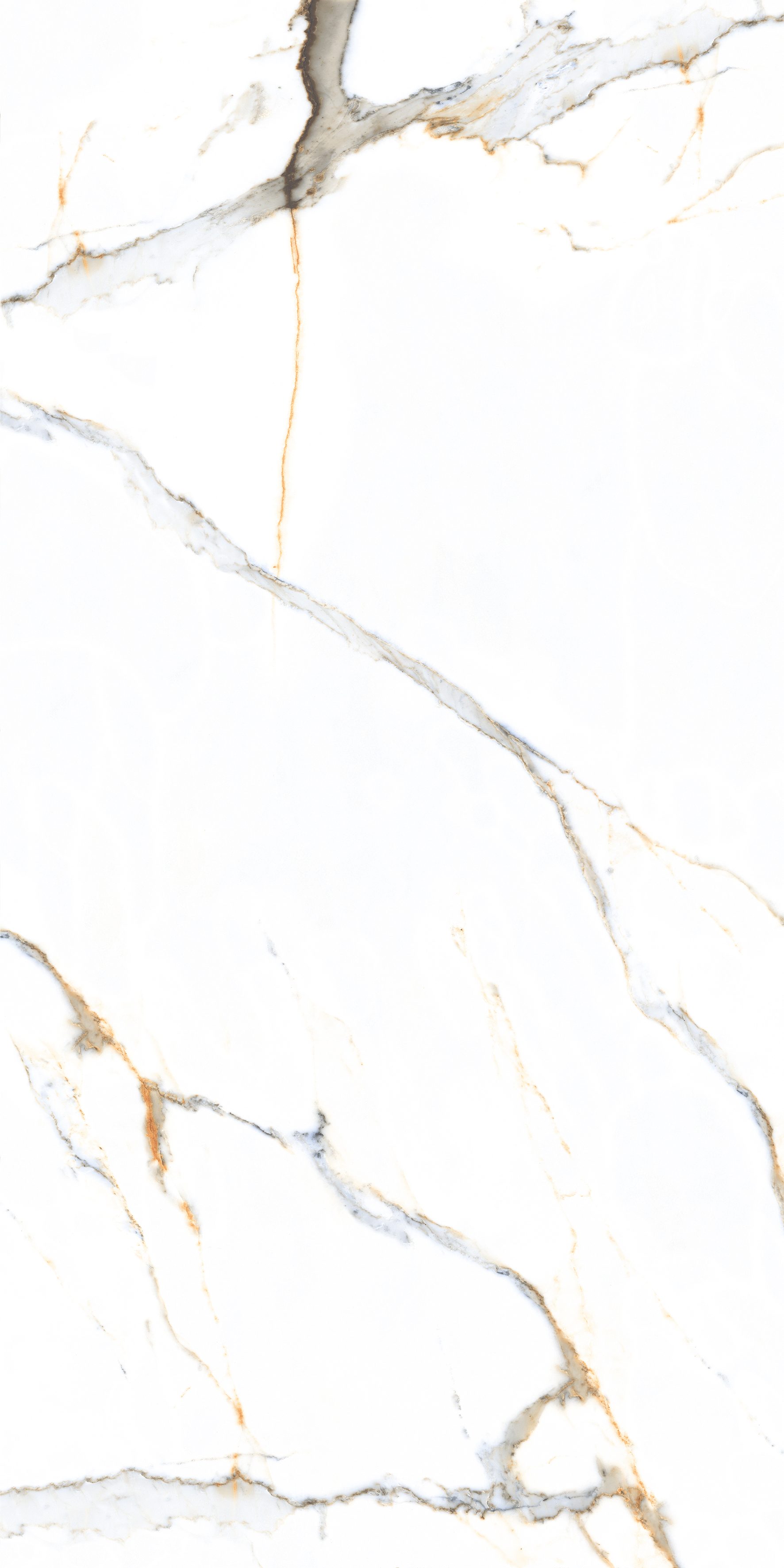 Austin White 600x1200