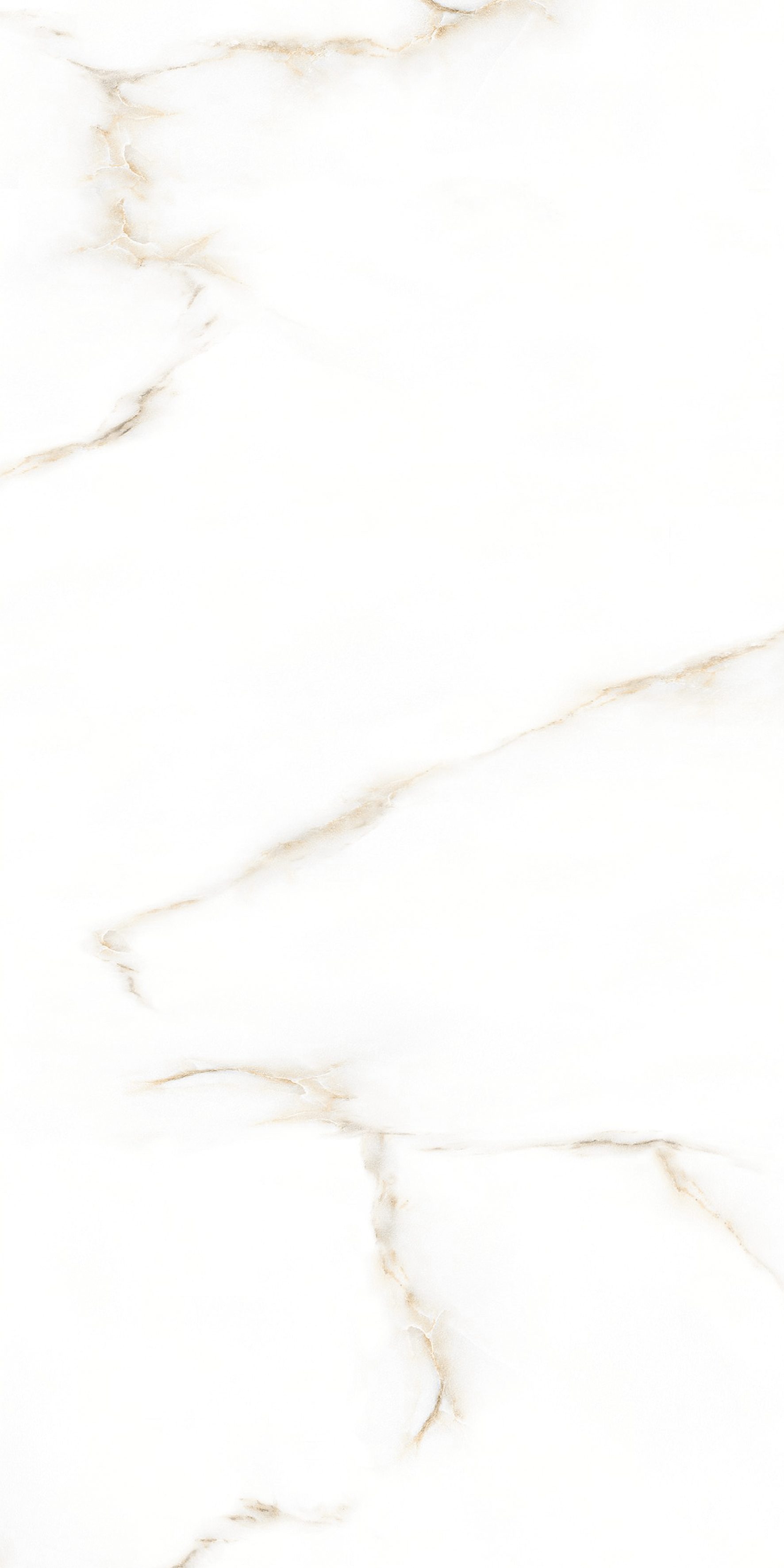 Calix Gold 600x1200