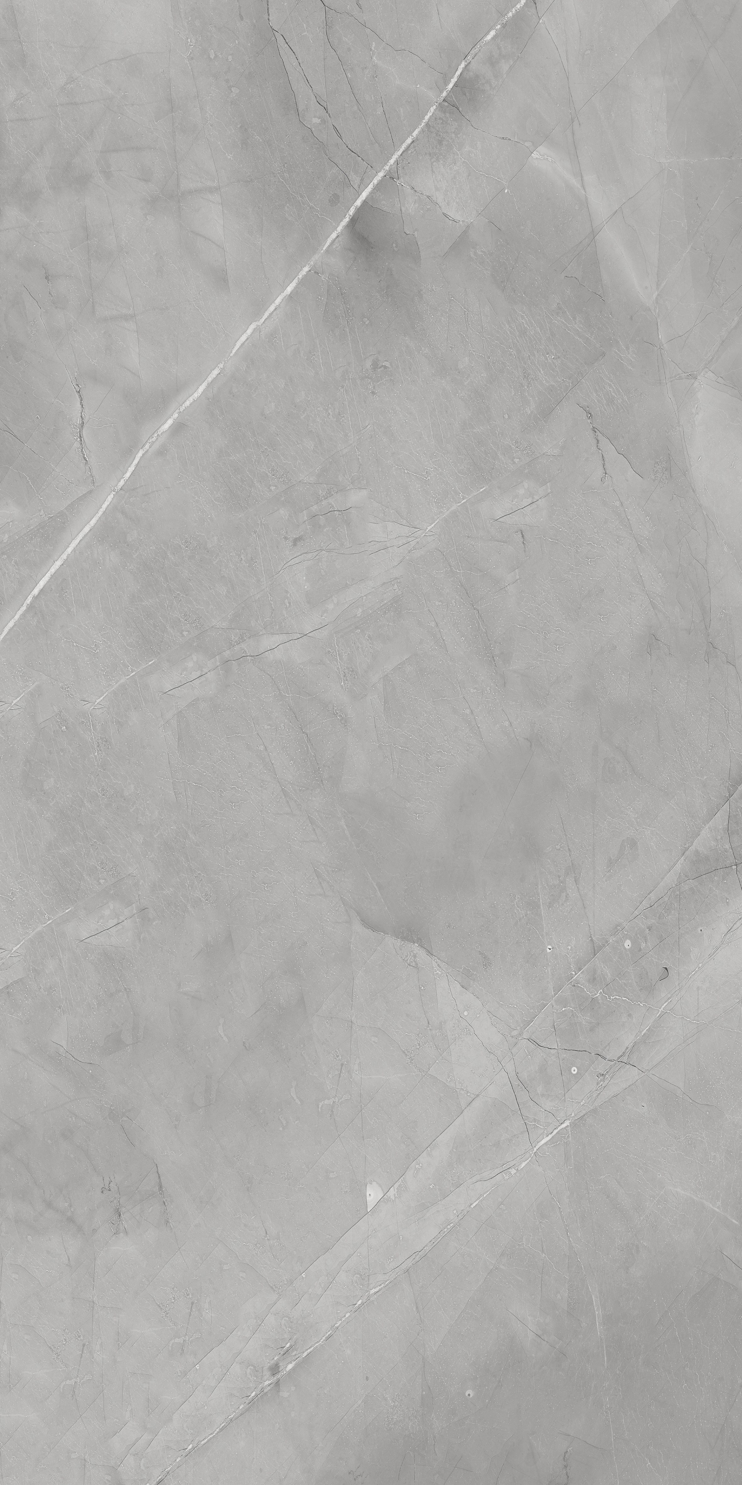 Delphi Grey 600x1200