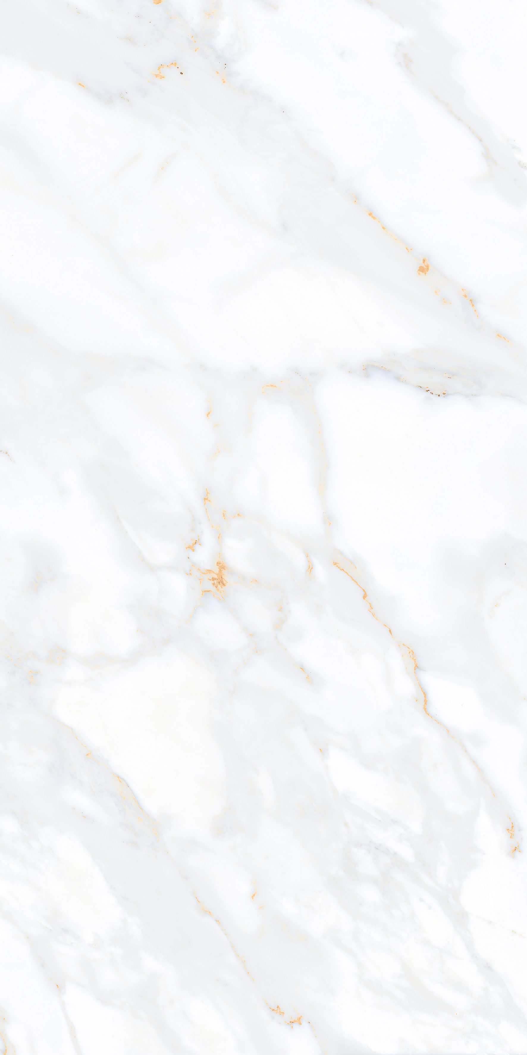 Loxen Bianco 600x1200