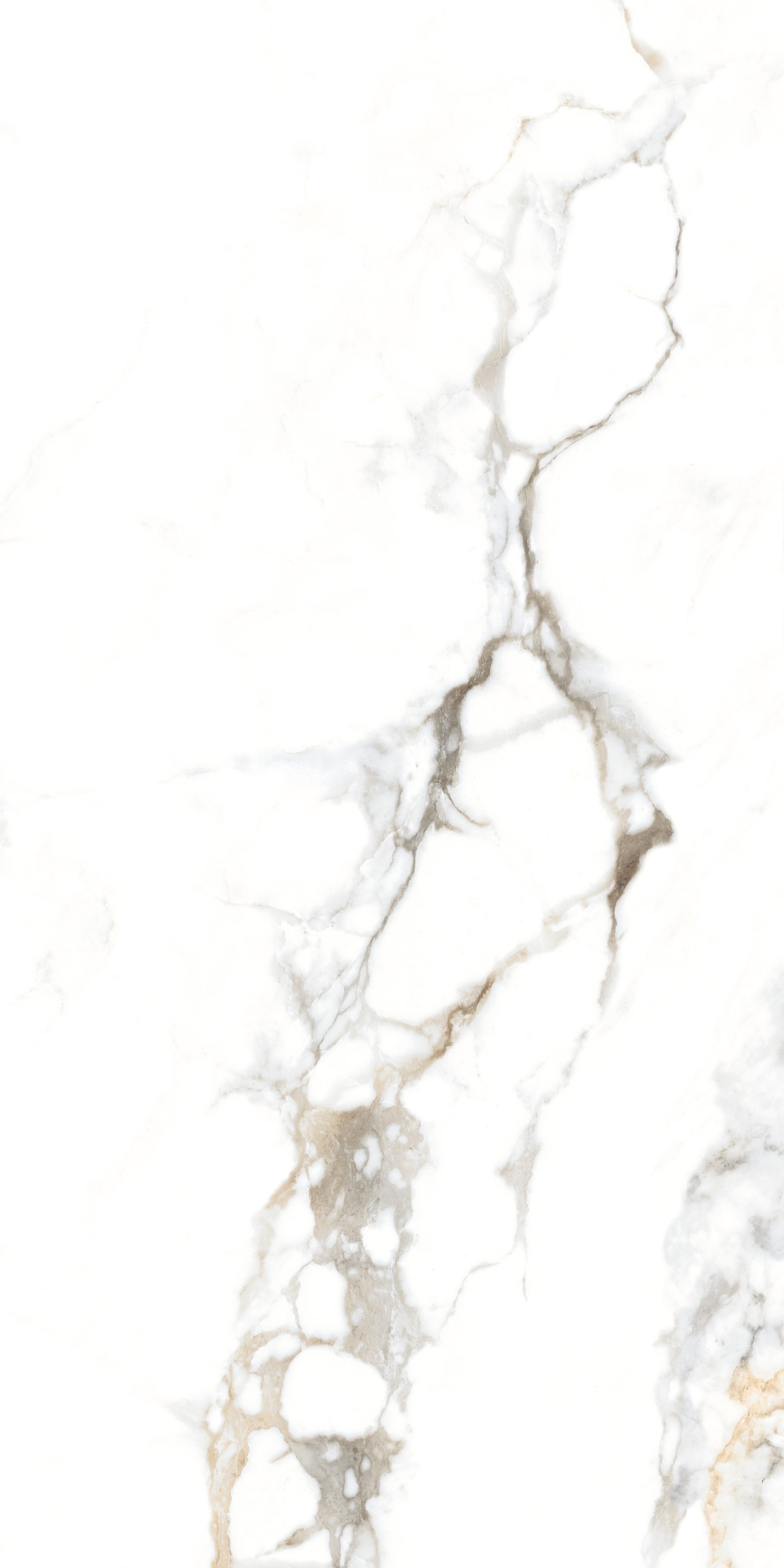 Salve White 600x1200