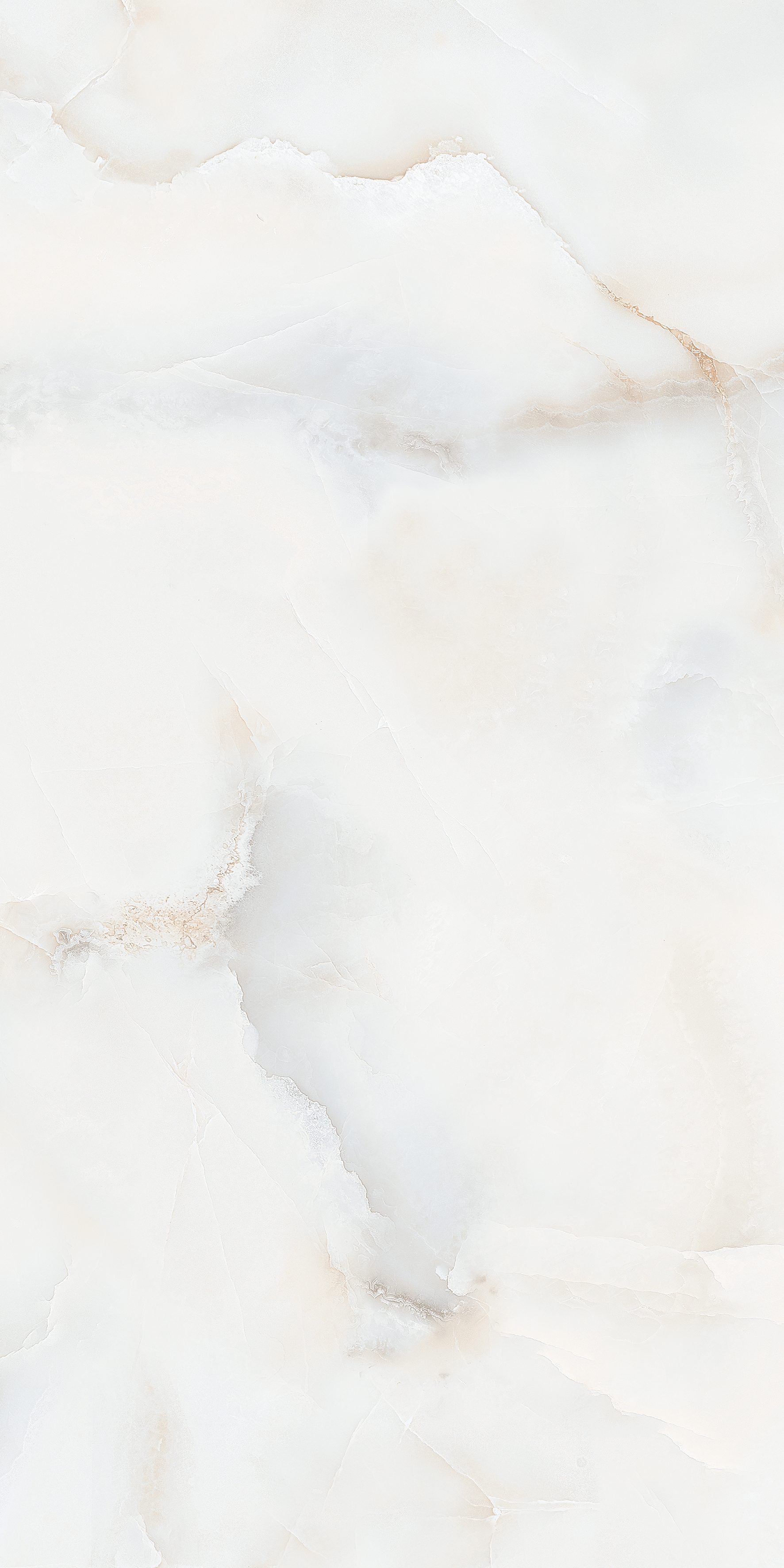 Zenix Bianco 600x1200